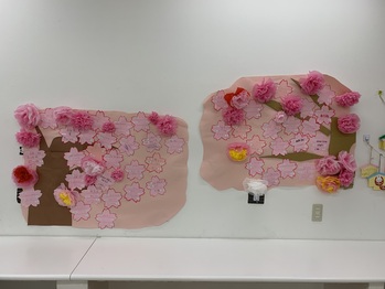 子ども達が桜の花びらに自己紹介を書いて『といろ桜』は満開となりました。